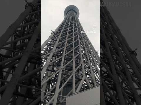 🌟悟空とスカイツリー空の旅☁　　　