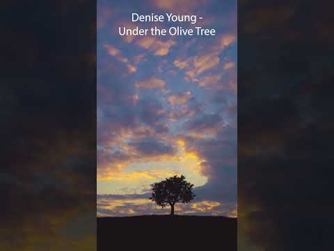 Denise Young - Under the Olive Tree