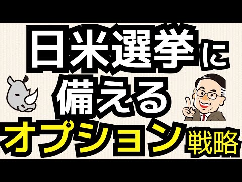 日米選挙前特別編――日経平均の暴騰暴落にはOPを組み合わせた戦略で