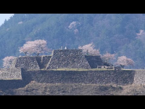 立雲峡の桜／日本のマチュピチュ竹田城跡