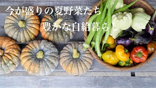 自給暮らしvlog|猛暑でも手作りの美味しい食事を！｜野菜たっぷり手打ちパスタランチ｜簡単ブルーベリーパイ｜＃42