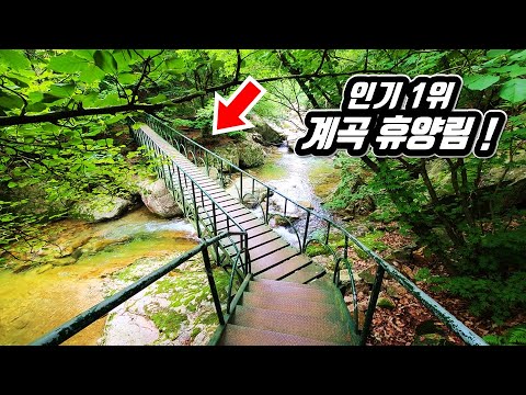 Korea's First Valley Recreation Forest