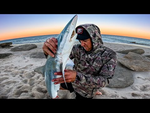 3 Days Solo On a Remote Beach - Cooking What Ever I Catch & More