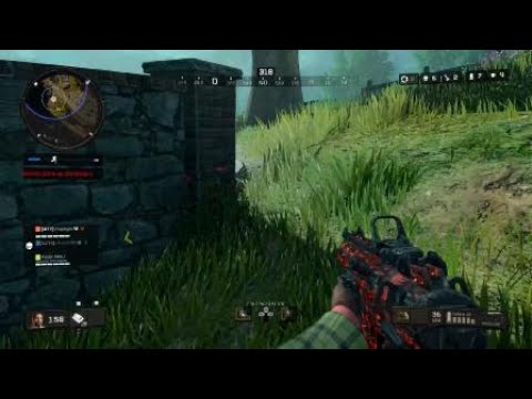 Call of Duty®: Black Ops 4_2021PWR Auguer