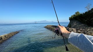 釣り初心者が熊本の海で釣りしたら思わぬ釣れっぷりで大満足でした！