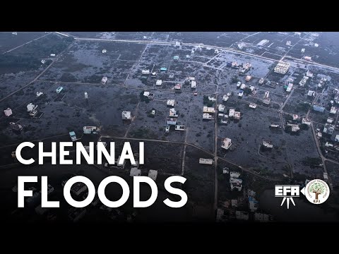 Chennai Floods | EFIxEFA Drone