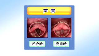 けいれん性発声障害 2010年03月収録