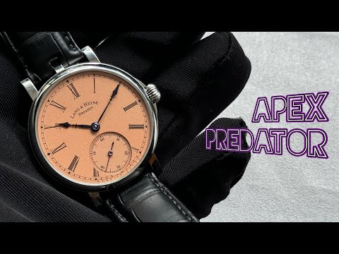 Lang & Heyne Friedrich III salmon dial & purple hands