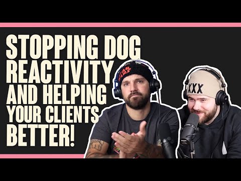 DTDT 185 - Stopping Dog Reactivity and Helping Your Clients BETTER