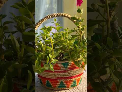 DIY planter from plastic Container #diyplanters #plasticrecycling #diytutorial #diyhomedecor