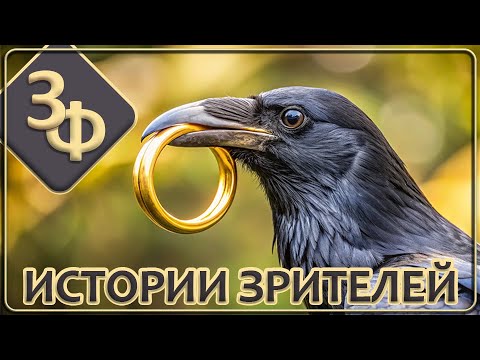 180 Загадочные Истории Наших Зрителей