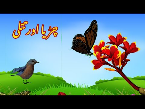 CHIDIA AUR TITLI | چڑیا اور تتلی | |Urdu cartoon story |Urdu kahaniyaan | Moral Story