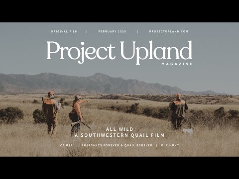 Hunting Mearns, Scaled, and Gambel's Quail in Arizona - All Wild - A Project Upland Original Film