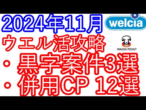 【ウエル活】2024年11月　ウエル活攻略動画　黒字案件3選　併用キャンペーン12選