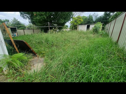 From NEGLECTED EYESORE To Best Mowed Backyard In The Neighbourhood