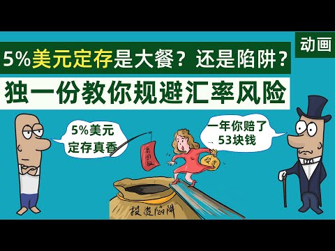 5%美元定存是大餐？还是陷阱？全网独一份教你如何规避汇率风险