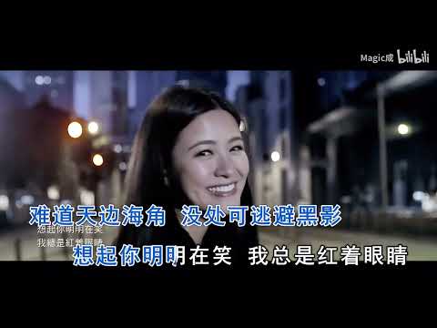 [ KTV ] 天地不容Thiên Địa Bất Dung - 胡鸿钧 Hồ Hồng Quân Karaoke