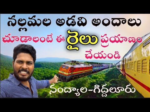 నల్లమల అడవుల అందాలు చూడాలంటే|Train Journey in Nallamala Forest|Nandyala To Giddalur