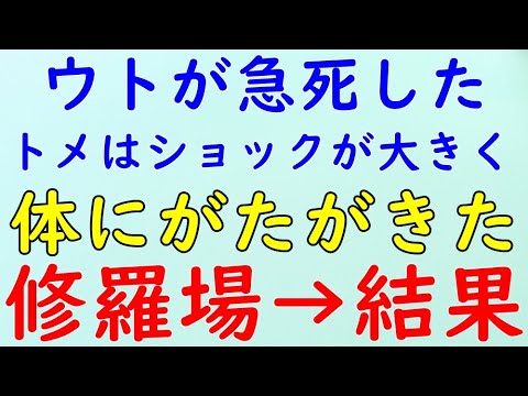 【スカッとする話】修羅場　トメは体にがたがきて、主に歩行が困難になってきた。→結果