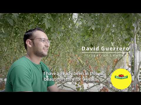 Meet David Guerrero, a 2021 Associate to be featured Under The Label here at NatureSweet!