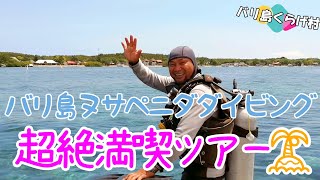 【バリ島ダイビング】めちゃめちゃいい海でした！バリ島ヌサペニダで超絶満喫ダイビングツアー！