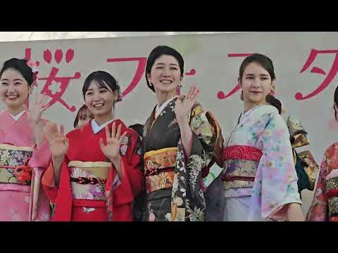 Cherry blossom event at Ueno Park きものショー うえの桜フェスタ 2024