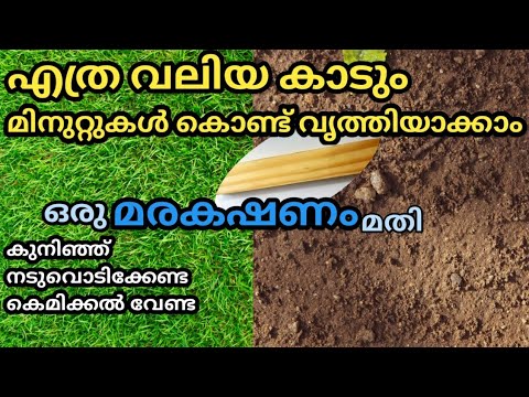 കുനിഞ്ഞ് നടുവൊടിക്കാതെ മിനിറ്റുകൾ കൊണ്ട് മുറ്റത്തെ പുല്ല് കളയാം easy grass removing ideas/surmies