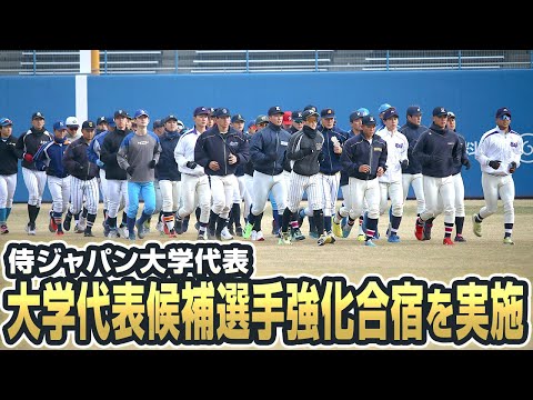 侍ジャパン大学代表候補選手強化合宿を実施