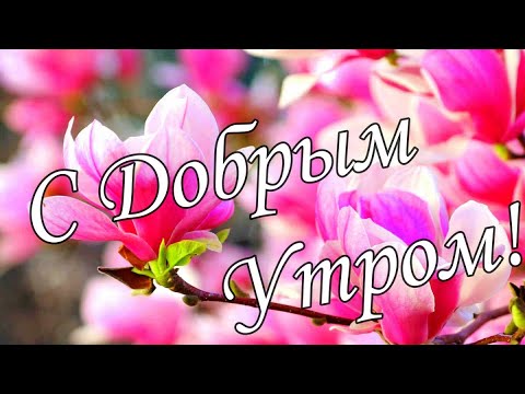 С ДОБРЫМ УТРОМ !🌼Желаю Самого Доброго Солнечного Утра!🌼  Шикарная Музыкальная открытка 🌼