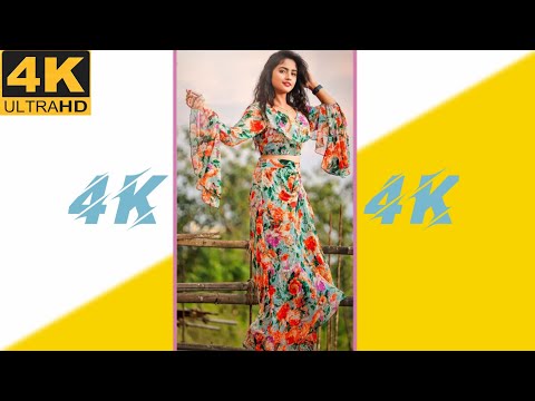 Nisha Gurugain Tumase Milke Dil Ka Jo Haal //4K Status  Full Screen Whatsapp Status // Pandit Status