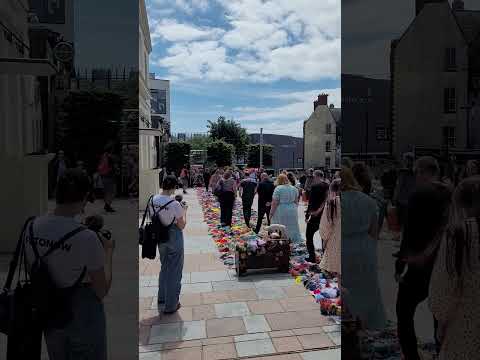 Plymouth's local climate heroes walk The Mossy Carpet 22 June 2024