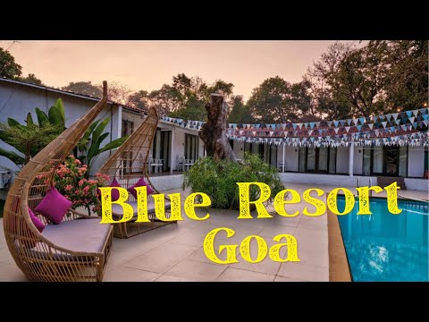 Budget Friendly Resort in North Goa | Best Resort in Goa | Blu Resort Vagator Goa #hotelreview