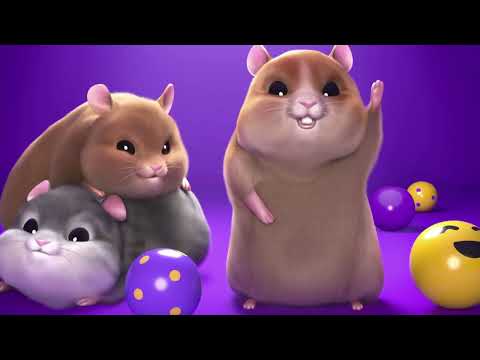 Hamster Hijinks: The Funniest Maze & Obstacle Course Adventure!