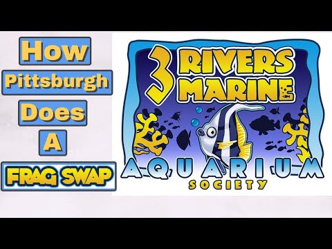 Pittsburgh Pa (4-17-2021) Coral Frag Swap (3 Rivers Marine Aquarium Society)