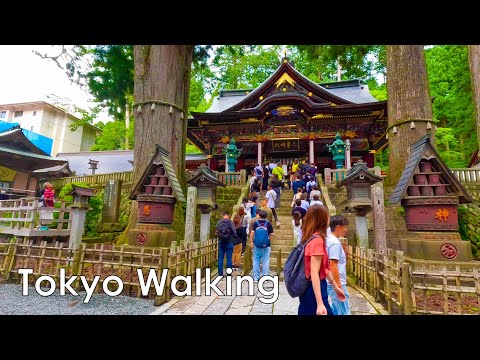 Visit Mitsumine Shrine, one of Japan's most famous shrines, located at an altitude of 1,100m