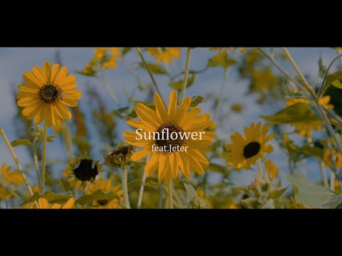 FARMHOUSE - Sunflower feat. Jeter (official music video）