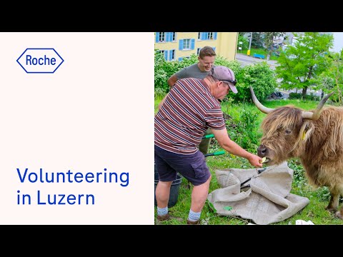 Volunteering in Luzern