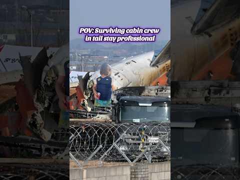 POV : surviving Korean crash cabin crew stay pro