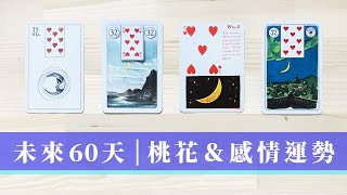 未來60天 感情桃花運勢｜有對象 or 單身 愛情運｜無時間限制 Timeless