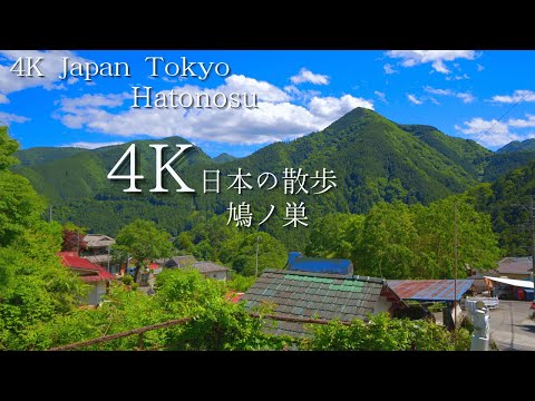 東京 鳩ノ巣駅から始まる散歩 4K HDR