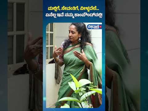 Yamuna Srinidhi| ಮಲ್ಲಿಗೆ, ಸೇವಂತಿಗೆ,ವೀಳ್ಯದೆಲೆ... ಏನೆಲ್ಲ ಇವೆ ನಮ್ಮ ಕಾಂಪೌಂಡ್‌‌ನಲ್ಲಿ!| Vishwavani Special