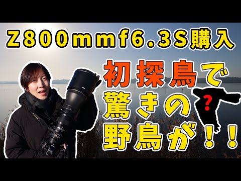 レンズ届いたので野鳥撮影してきた　ニコン NIKKOR Z 800mm f/6.3 VR S