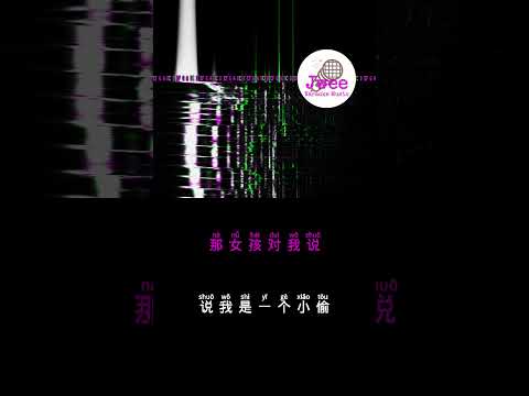 蔡恩雨 《那女孩对我说》 Pinyin Lyrics 动态拼音歌词 shorts #songlyrics