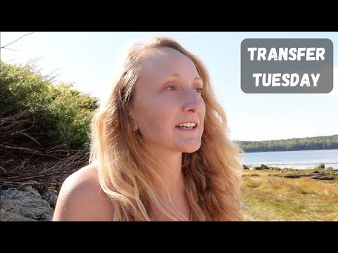 Adding to my Sinking Funds | Transfer Tuesday