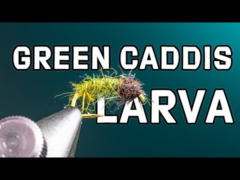 Green Caddis Larva Fly Pattern | Fly Tying Tutorial