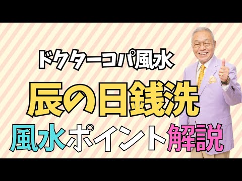 【辰の日・宝くじ開運日】L字ファスナー長財布　ラベンダー