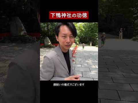 下鴨神社の功徳について語っていたら・・・ #羽賀ヒカル #神社