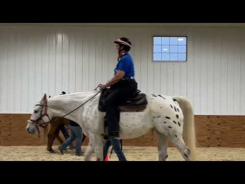 Hippotherapy Client Presentation