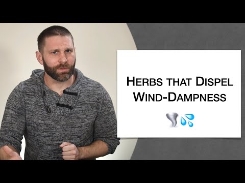 🌿 Herbology 2 Review - Herbs that Dispel Wind-Dampness (Extended Live Lecture)