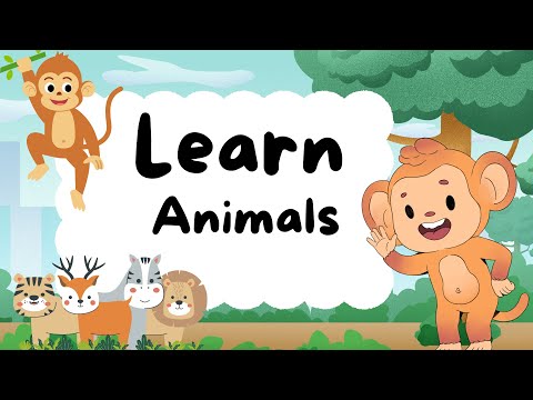 #LearnAnimals #AnimalFacts #KidsLearningLearn  About Animals | Fun Animal Facts for Kids!